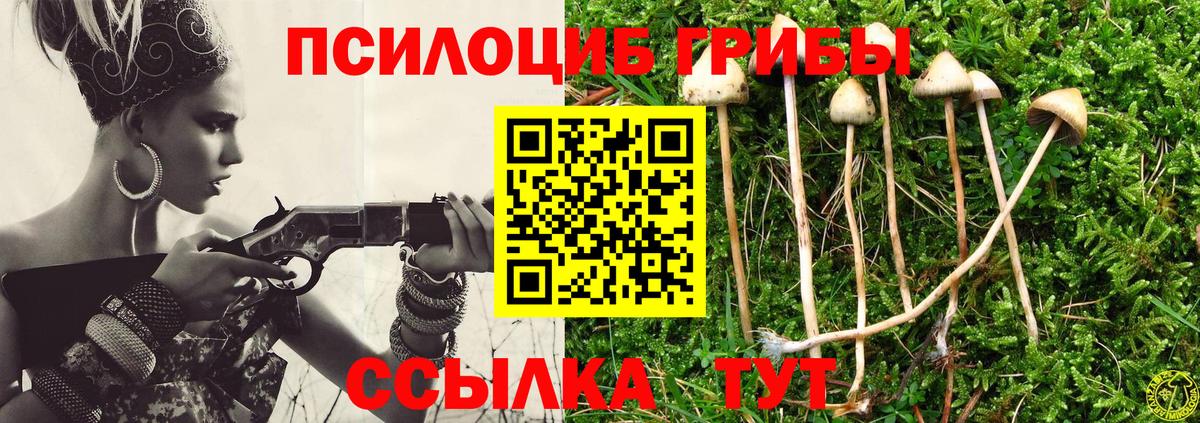 Псилоцибиновые грибы MAGIC MUSHROOMS Югорск
