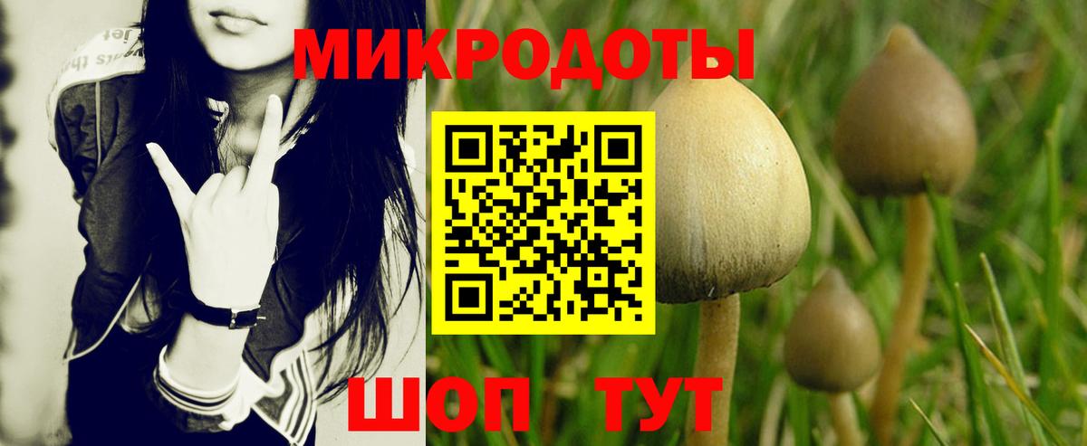 Югорск  Псилоцибиновые грибы ЛСД  магазин продажи наркотиков  Псилоцибиновые грибы Magic Shrooms  Вход с VPN 